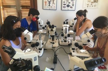 stem student interns abroad look through microscope