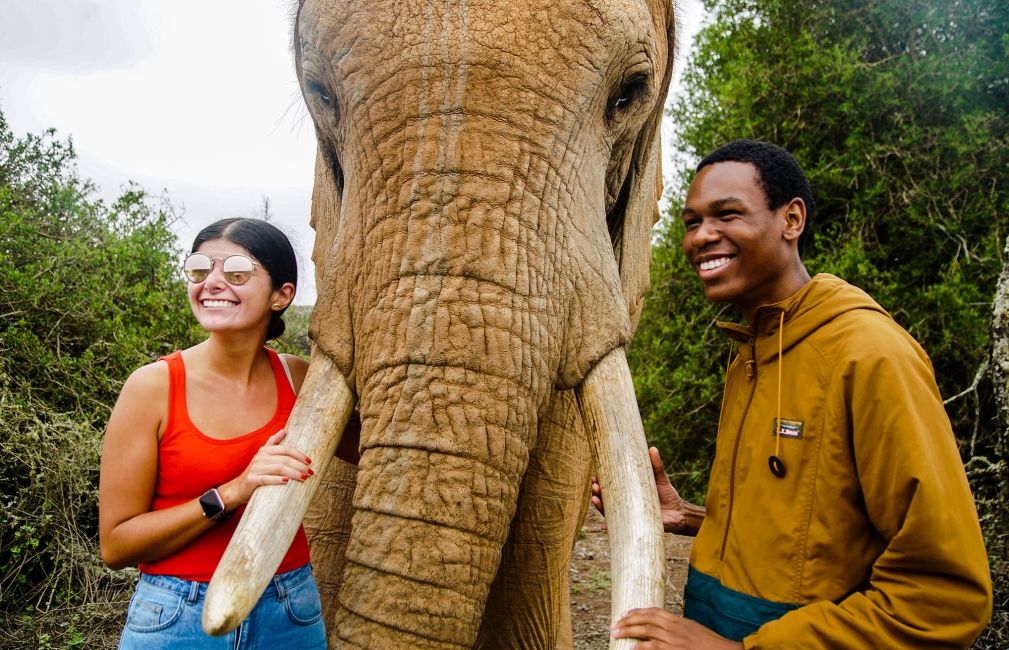 elephant posing with two study students africa