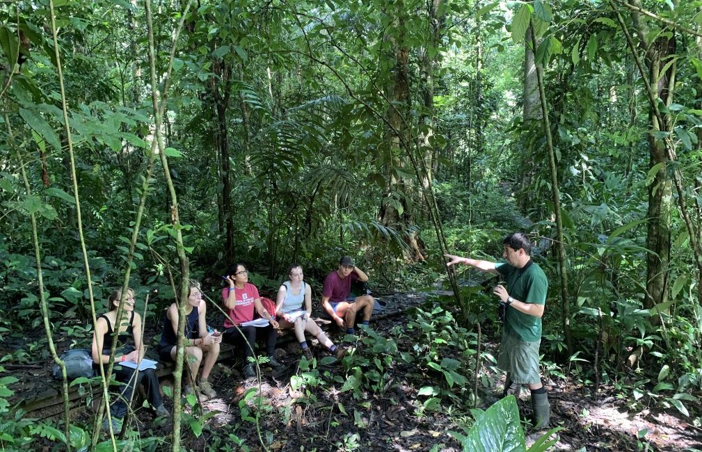 monteverde rainforest exploration study abroad