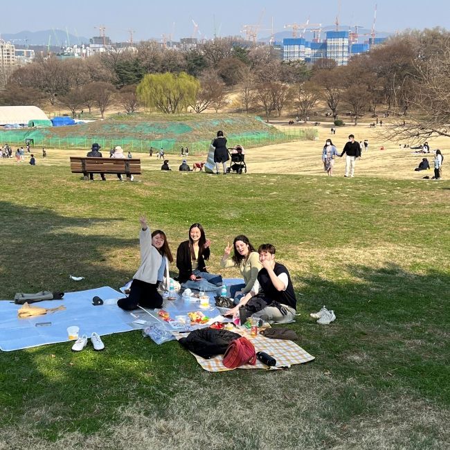 picnic abroad seoul korea ciee students