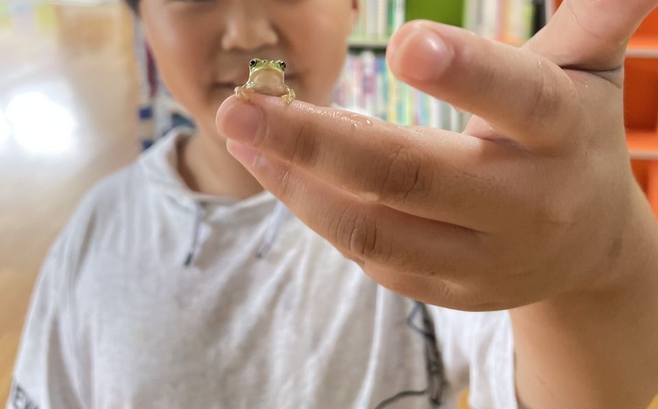 A student showing me a frog he caught!