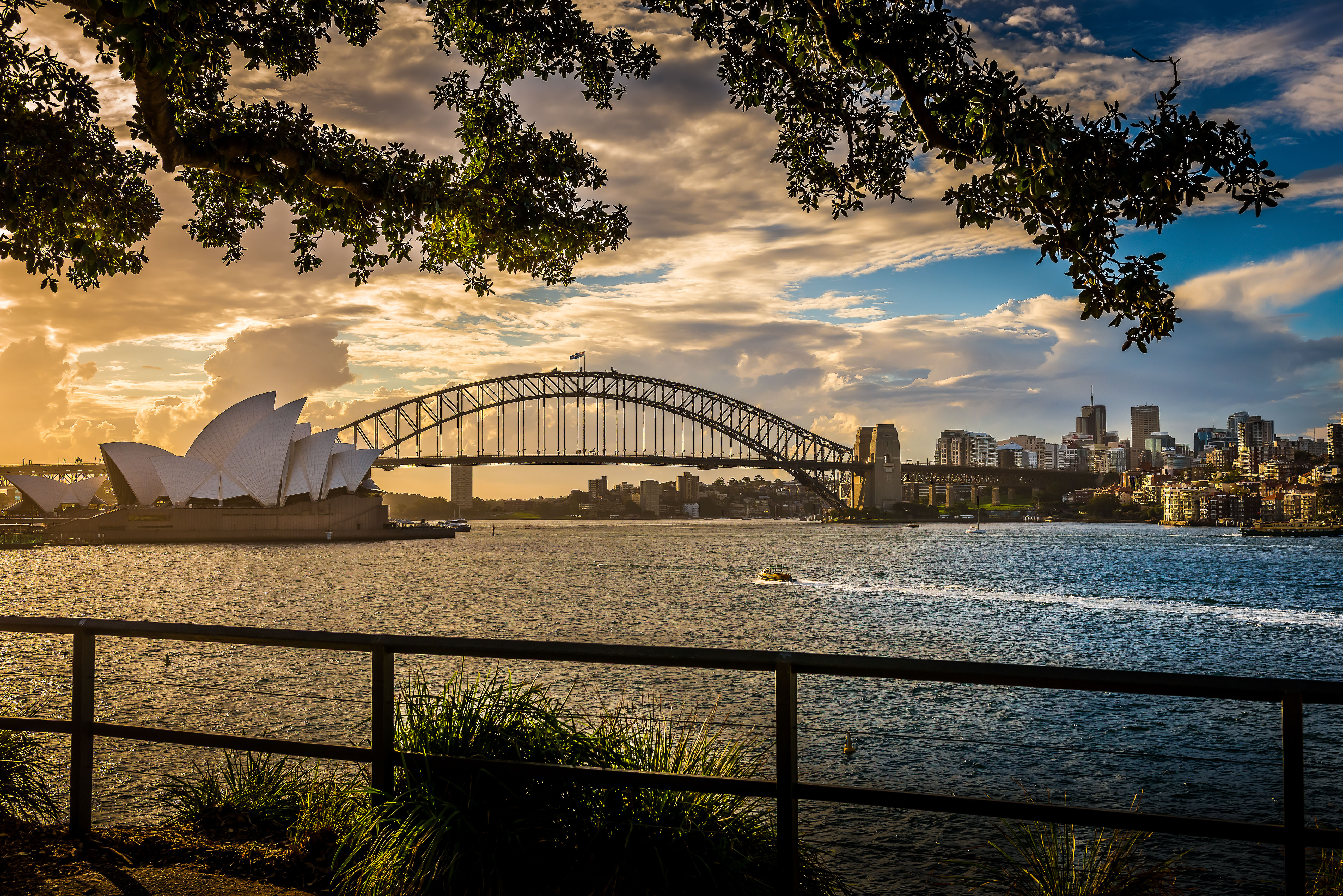 Why Should I Study in Sydney?