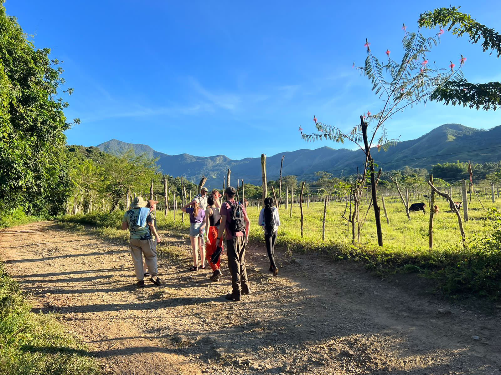 Leadership & Service in Public Health | Santiago de los Caballeros | CIEE