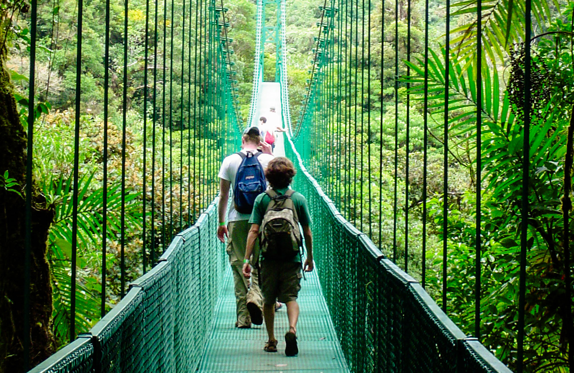 Students walking on bridge in Monteverde Cloud Forest