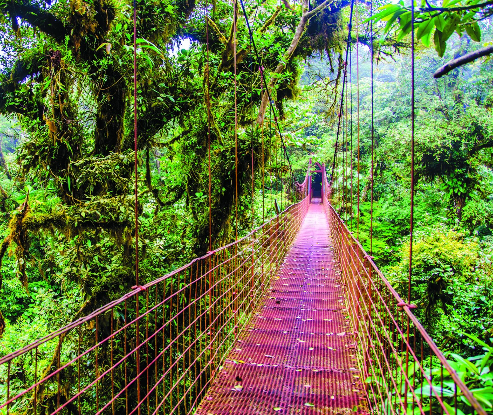 Summer Sustainability + The Environment | Monteverde | CIEE