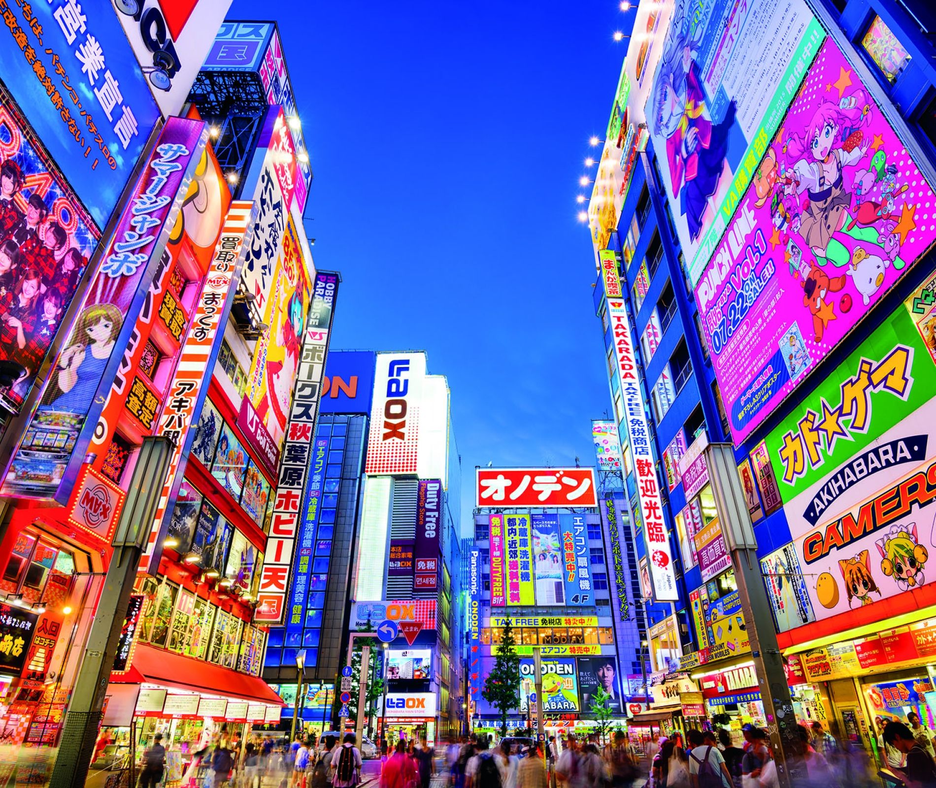 Summer Global Internship | Tokyo | College Study Abroad | CIEE