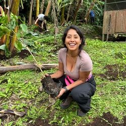 Day planting a tree