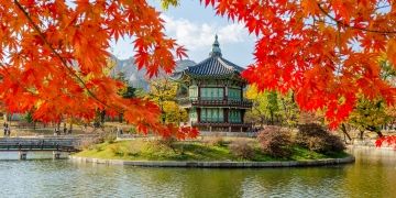 seoul traditional temple water reflection leaves