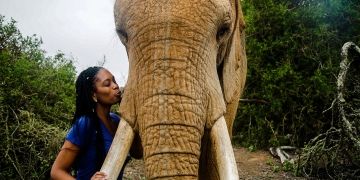 Cape Town girl kissing elephant