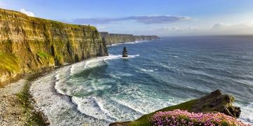 dublin ireland sunny day ocean cliff flowers