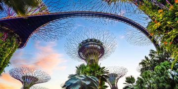 singapore-supertree-grove-sunset