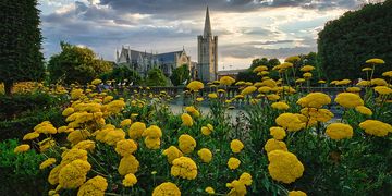 st-patrick_s-park-dublin-ireland.jpg