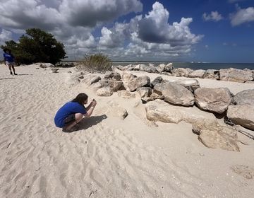 Student is crouched down on sand taking a photo of a lizard on a rock on the beach of Sisal, Yucatan. 