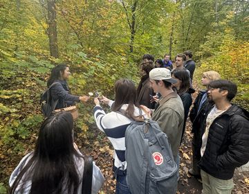 berlin students abroad forest