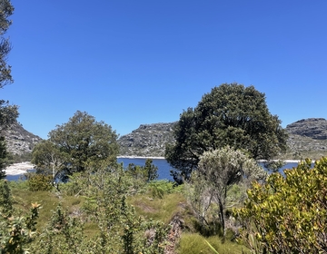 cape town study abroad hiking CIEE