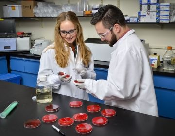 students in lab