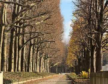 berlin study abroad street