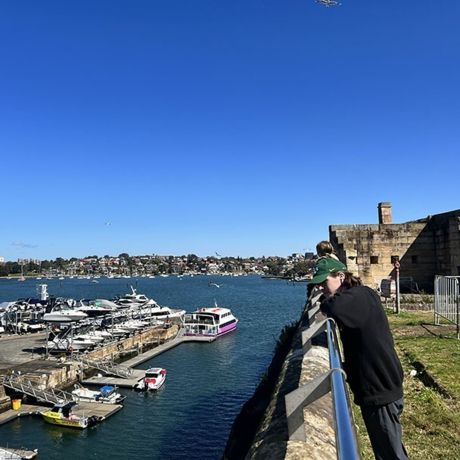 sydney australia student in harbor boats