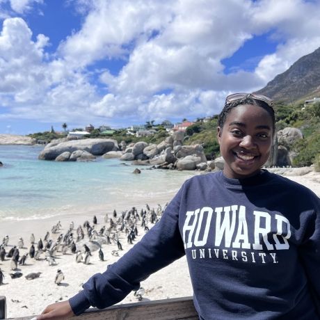 cape town howard university penguins