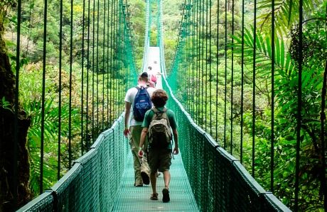 monteverde students on forest bridge