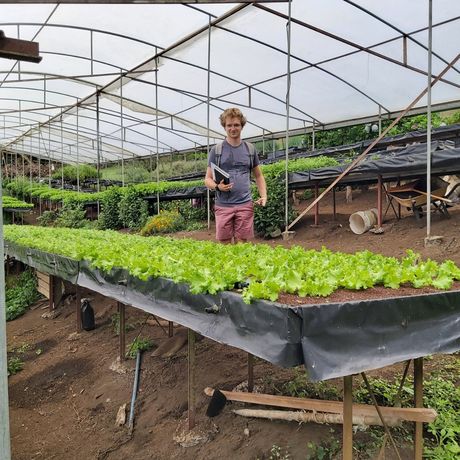 monteverde study abroad garden