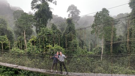 ghana_legon_excursion-to-the-canopy-walkway-at-the-kakum-national-park-in-cape-coast.jpg