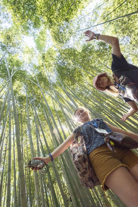 kyoto-bamboo.jpg