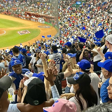 santiago dr baseball stadium crowd