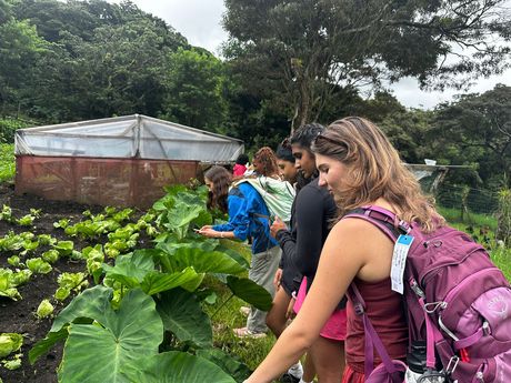 costa-rica-monteverde-climate-friendly-farming.jpg