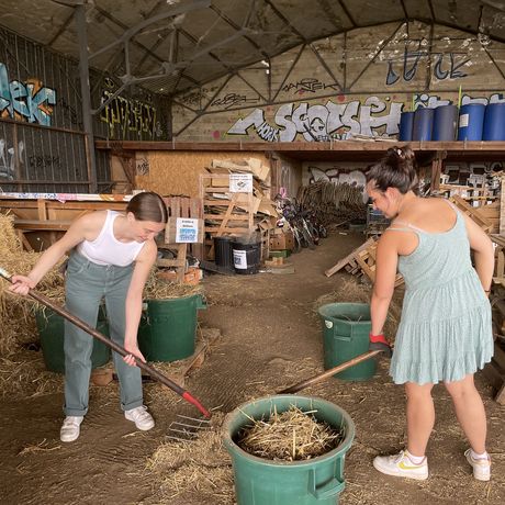 rennes-hssa-volunteering-community-garden