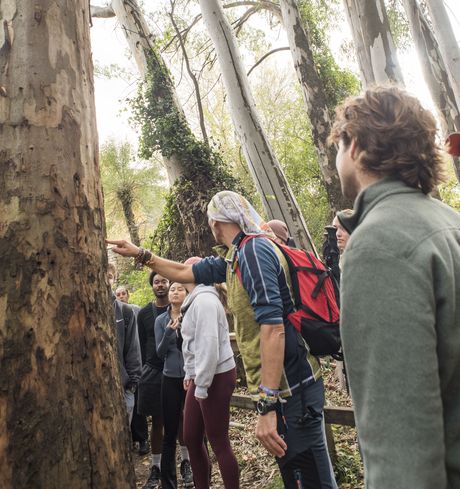 Group with tree