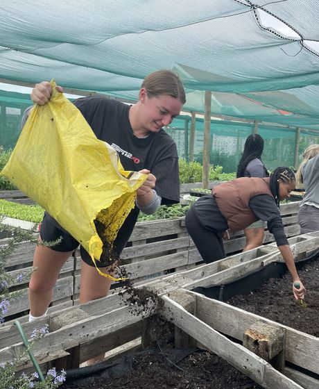 farming in cape town study abraod