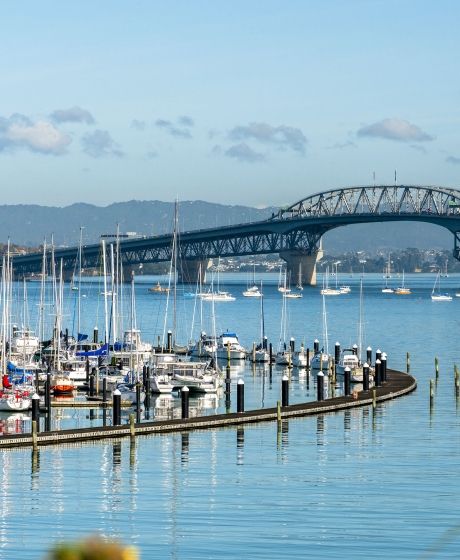 auckland bayswater marina and harbour bridge