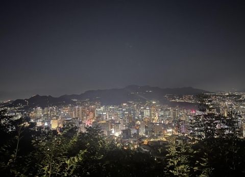 namsan view