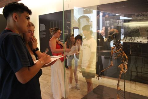 Students observing a skeleton