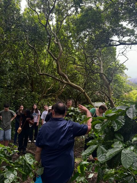 Here Leo is showing us the campus Coffee Crop (cafetal in spanish)!