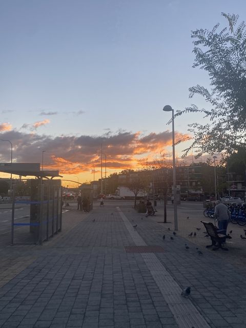 Bus stop outside of Madrid