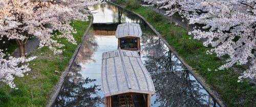 Take Me To Japan - Kyoto Culture Course