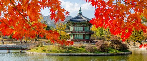 seoul traditional temple water reflection leaves