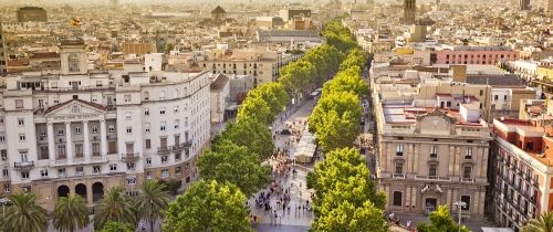 barcelona spain street tree lined buildings