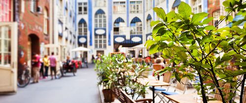 berlin germany plaza eating tables green plant