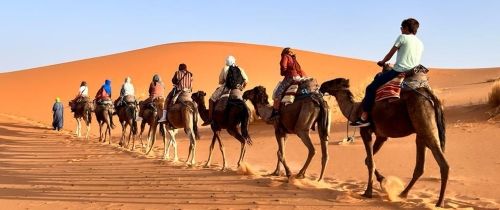 camel ride rabat study abroad