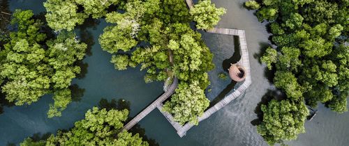 singapore mangrove reserve overhead