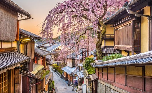 kyoto-flowers.jpg