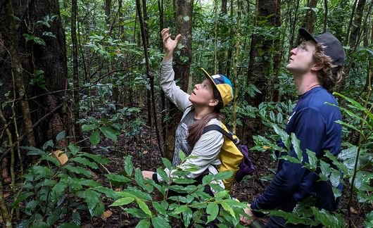 monteverde students forest research