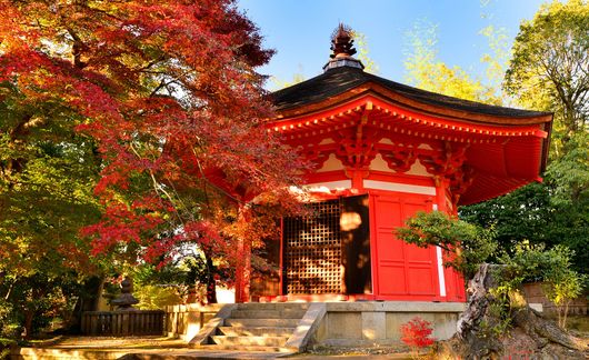 tofuku-ji-temple_kyoto.jpg