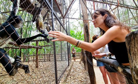 yucatan girl feeding spider monkey