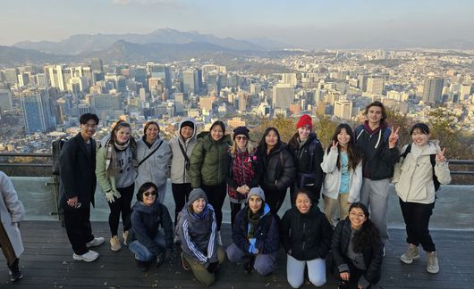 seoul study abroad students overlook city