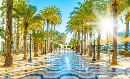 alicante_sunny-promenade.jpg