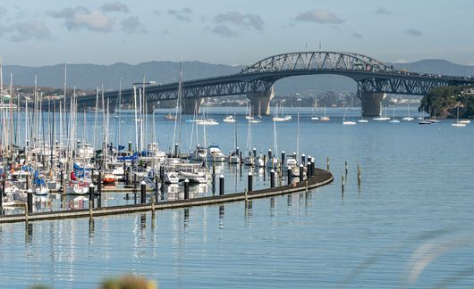 auckland-bayswater-marina-boats